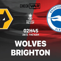 Nhận định Wolves vs Brighton (02h45 ngày 29/02/2024) - Vòng 5 FA CUP